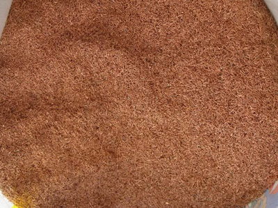 777盛世国际_官网首页