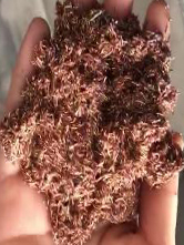 777盛世国际_官网首页